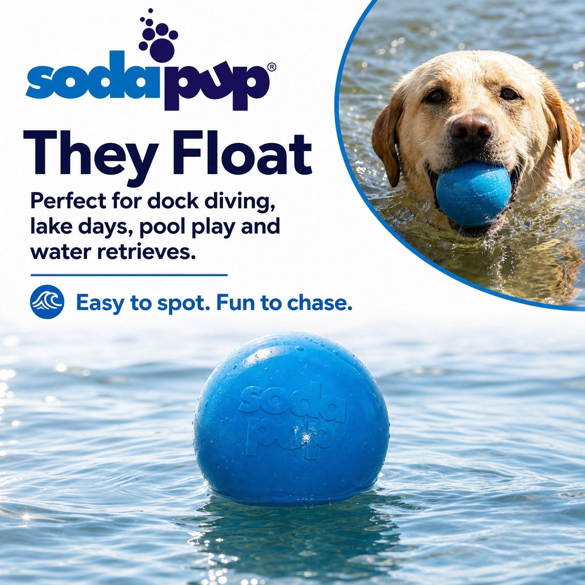 Glitter Ball  Dog Toy | Soft PUP-X Rubber Floating Fetch Ball with Treat Dispenser | USA Made