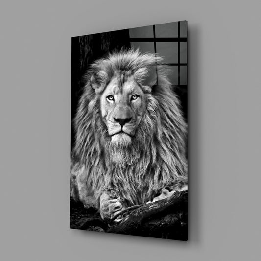 Regal Resting Lion Monochrome Glass Wall Art
