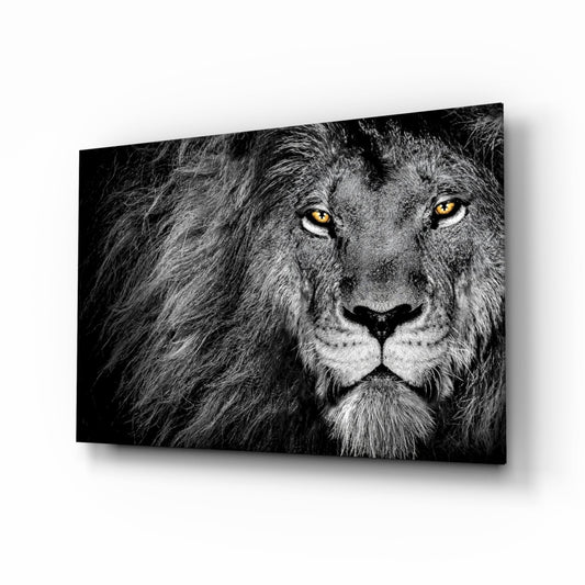 Amber Gaze Monochrome Lion Glass Wall Art